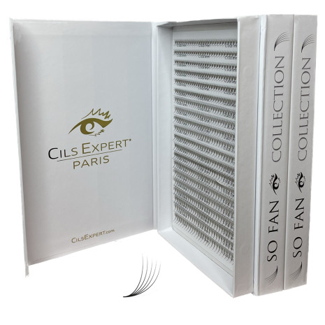 Extension de cils Bouquet pré fait L C CC D  Cils Expert boutique Paris ou envoie postaux