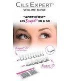 EXTENSION DE CILS